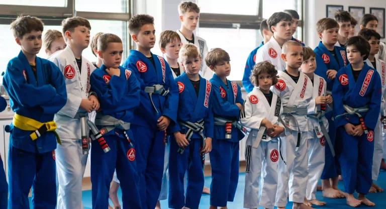 brazilski jiu-jitsu v moji bližini